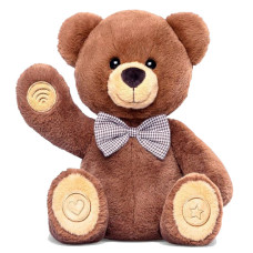 Interactive Smart Teddy