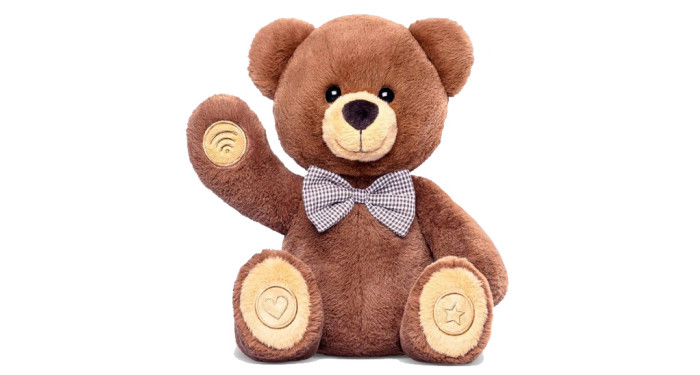 Interactive Smart Teddy