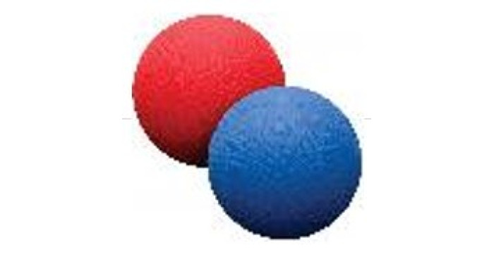 8.5" Playground Ball