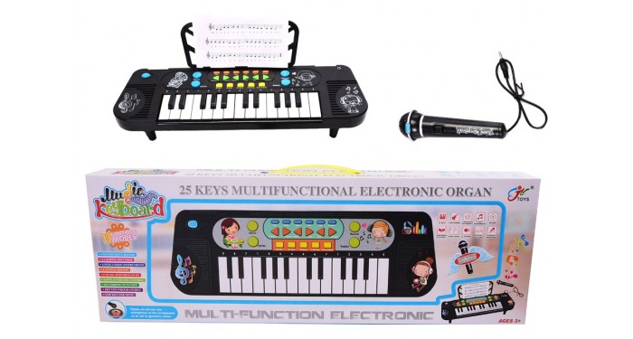 25 Key Electronic Organ 